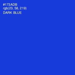 #173ADB - Dark Blue Color Image