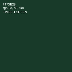 #173B28 - Timber Green Color Image