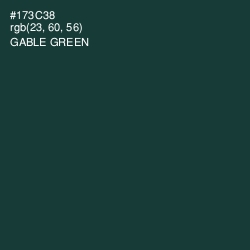 #173C38 - Gable Green Color Image