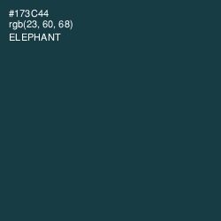 #173C44 - Elephant Color Image