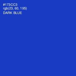 #173CC3 - Dark Blue Color Image