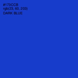 #173CCB - Dark Blue Color Image