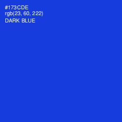 #173CDE - Dark Blue Color Image