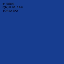 #173D90 - Torea Bay Color Image