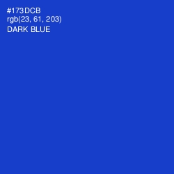 #173DCB - Dark Blue Color Image