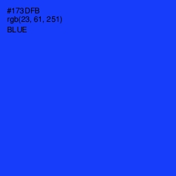 #173DFB - Blue Color Image