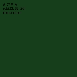 #173E1A - Palm Leaf Color Image