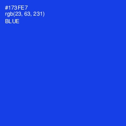 #173FE7 - Blue Color Image