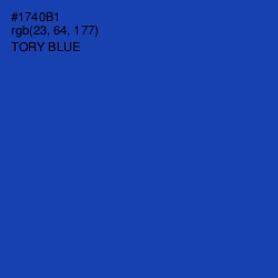 #1740B1 - Tory Blue Color Image