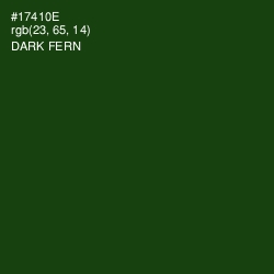 #17410E - Dark Fern Color Image