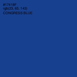 #17418F - Congress Blue Color Image