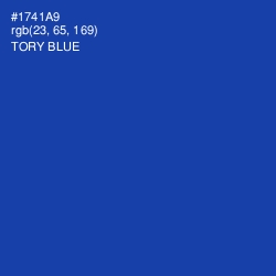 #1741A9 - Tory Blue Color Image