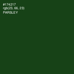 #174217 - Parsley Color Image