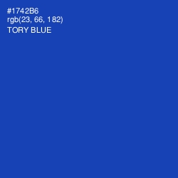 #1742B6 - Tory Blue Color Image