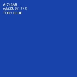 #1743AB - Tory Blue Color Image