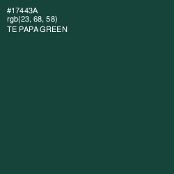 #17443A - Te Papa Green Color Image