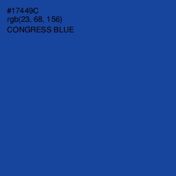 #17449C - Congress Blue Color Image