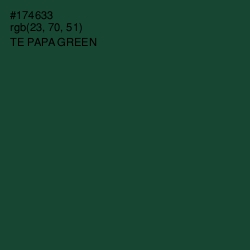 #174633 - Te Papa Green Color Image