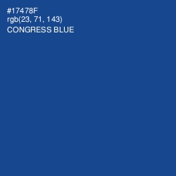#17478F - Congress Blue Color Image