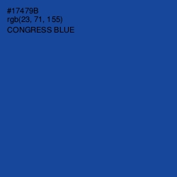 #17479B - Congress Blue Color Image