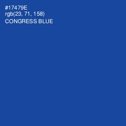 #17479E - Congress Blue Color Image