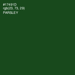 #17491D - Parsley Color Image