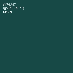 #174A47 - Eden Color Image