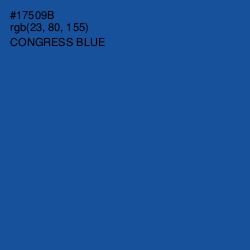 #17509B - Congress Blue Color Image