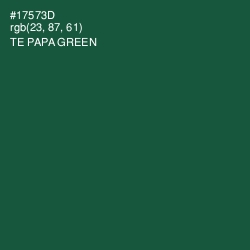 #17573D - Te Papa Green Color Image