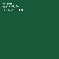 #175938 - Te Papa Green Color Image