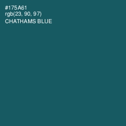 #175A61 - Chathams Blue Color Image