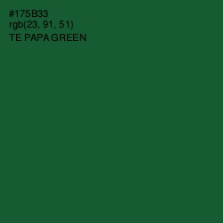 #175B33 - Te Papa Green Color Image