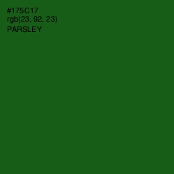 #175C17 - Parsley Color Image