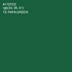 #175F3D - Te Papa Green Color Image