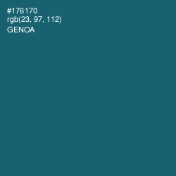 #176170 - Genoa Color Image