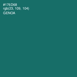 #176D68 - Genoa Color Image