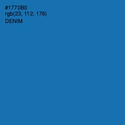 #1770B0 - Denim Color Image