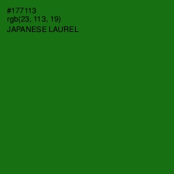 #177113 - Japanese Laurel Color Image