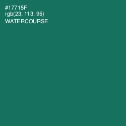 #17715F - Watercourse Color Image