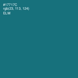 #17717C - Elm Color Image