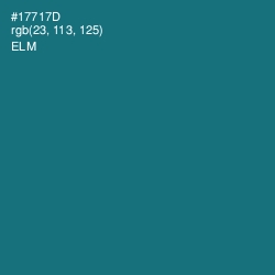 #17717D - Elm Color Image