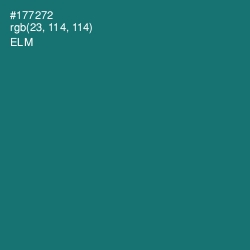 #177272 - Elm Color Image
