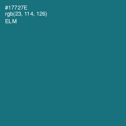 #17727E - Elm Color Image