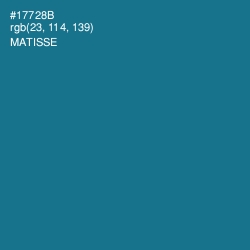 #17728B - Matisse Color Image