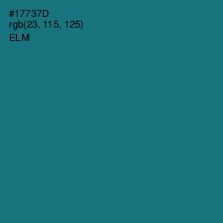 #17737D - Elm Color Image