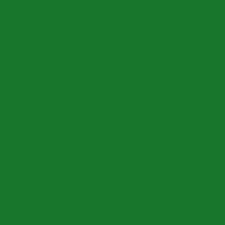 #17762C - Fun Green Color Image