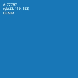 #1777B7 - Denim Color Image