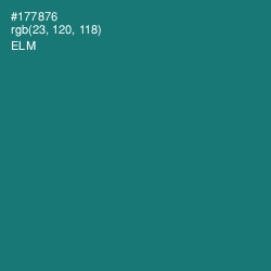 #177876 - Elm Color Image