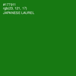 #177911 - Japanese Laurel Color Image