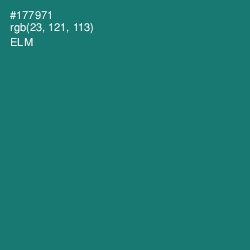 #177971 - Elm Color Image
